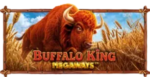 ภาพเกม Buffalo King Megaways ที่ pgspin888 รวบรวมไว้
